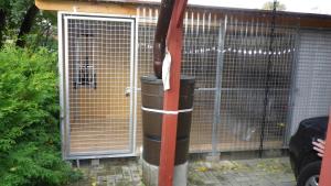 a dog in a cage next to a gate at Ferienhaus "Gluch" in Rechlin