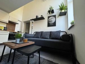 Posezení v ubytování apartman 50m2 garden parking Free