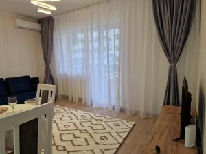 RoşuStudio&Garden!的带沙发和大窗户的客厅