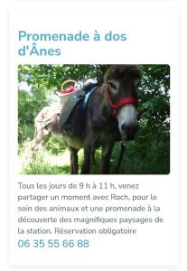 a screenshot of a webpage with a picture of a donkey at Duplex au cœur de la station in Ustou