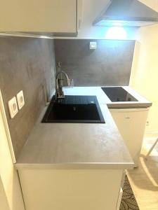 eine Küchentheke mit Spüle und Spüle in der Unterkunft Résidence Champenoise 1 , Troyes - France in Troyes