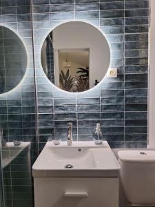 a bathroom with a sink and a mirror at Charmante maisonnette équipée in Caudebec-lès-Elbeuf +11 photos