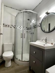 a bathroom with a shower and a toilet and a sink at Eden urbain au centre ville in Chalon-sur-Saône