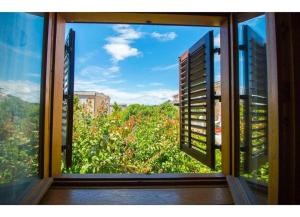 Zahrada ubytování Apartment Mana