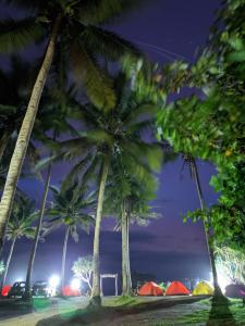 eine Gruppe von Palmen und Zelten in der Nacht in der Unterkunft Tenda camping in Madasari