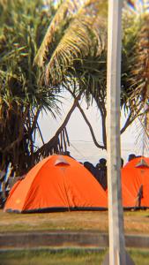 ein orangefarbenes Zelt neben einigen Palmen in der Unterkunft Tenda camping in Madasari + 2 Fotos