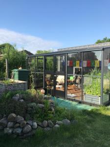 Κήπος έξω από το Ferienwohnung in Breiholz zwischen den Meeren, am Nordostseekanal