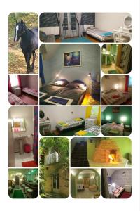 a collage of photos with a horse in a room at Mathias Lovasudvar in Kemence