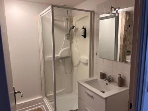 ein Badezimmer mit Dusche und Waschbecken in der Unterkunft Résidence Champenoise 3, Troyes - France in Troyes