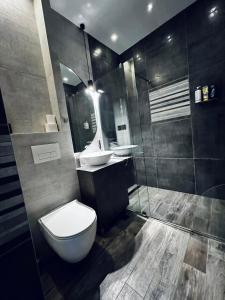 a bathroom with a toilet and a sink and a shower at New Grey in Novi Beograd