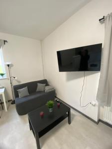 TV a/nebo společenská místnost v ubytování Guest Room Turnov