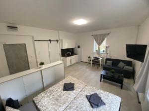 TV a/nebo společenská místnost v ubytování Guest Room Turnov
