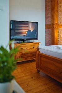 Televízia a/alebo spoločenská miestnosť v ubytovaní Hotel Na Vyhlídce