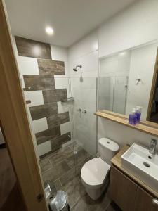 a bathroom with a toilet and a sink and a shower at Unidad recidencial San basilio in Sabaneta