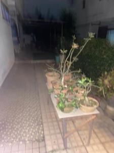 Κήπος έξω από το 80 Taman Sri Reko