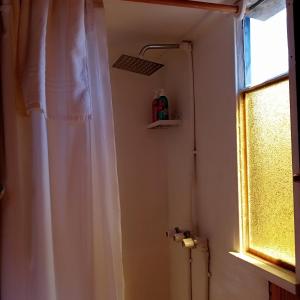 a bathroom with a shower curtain and a window at Cabaña El Carpintero in El Chalten