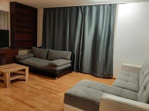 ein Wohnzimmer mit Sofa und Tisch in der Unterkunft City Bonn Apartments in Bonn