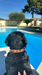 Bazén v ubytování Luxury B&B Resort nebo v jeho okolí