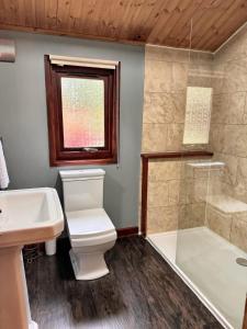 a bathroom with a toilet and a sink and a shower at Snowdrop 14 Hot tub-Woodlandlodges-Tenby-Pendine in Carmarthen