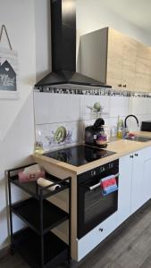 Kuchyň nebo kuchyňský kout v ubytování Apartmán - Café Princ pod Hradem WiFi, KLIMA