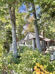 a house in the woods with two trees at DOCKSIDE RETREAT LIMIT 14 home in North Sebago