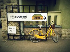 Jízda na kole v ubytování Looming Hostel nebo okolí