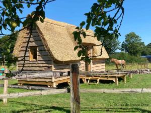 a house with a hay roof with a horse in a field at Chalet Miro in Saint-Germain-dʼAunay