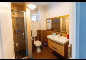 Un baño con inodoro, lavabo y ducha. en Magic Apartments Hunedoara, en Hunedoara 18 fotos más