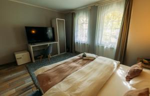 Un dormitorio con una cama grande y un televisor de pantalla plana. en Magic Apartments Hunedoara, en Hunedoara