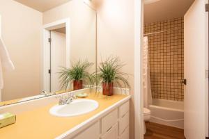 a bathroom with a sink and a mirror at Knob Hill Ridge Townhome 1 in Ketchum +17 photos