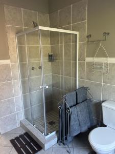 a shower stall in a bathroom with a toilet at Somerset Wineland Apartments & Wellness in Somerset West