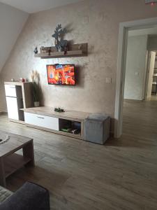 Телевізор і / або розважальний центр в Apartman Maksimović Divčibare