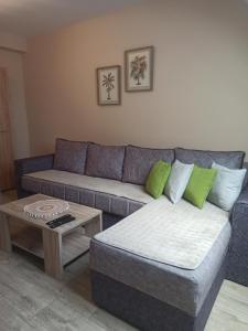 Зона вітальні в Apartman Maksimović Divčibare