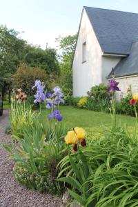 a garden with purple and yellow flowers in front of a house at Gîte Bienvenue chez Naty in Audrieu