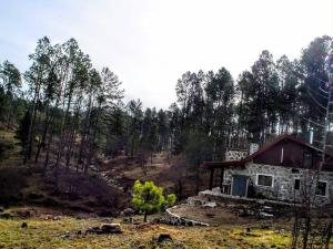 a stone house in the middle of a forest at Cabaña villa alpina Mantillo de bosque in Villa Alpina +39 photos