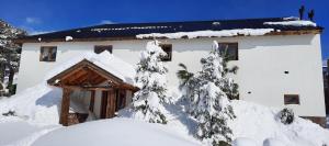 a house covered in snow with trees in front of it at Maneco Hostel in Caviahue