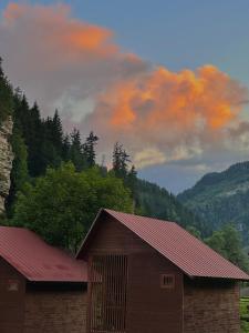 a brown barn with a red roof in front of a mountain at Kvela Cottage - ყველა კოტეჯი in Gori