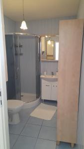 a bathroom with a shower and a toilet and a sink at ORZECHÓWKA in Lądek-Zdrój
