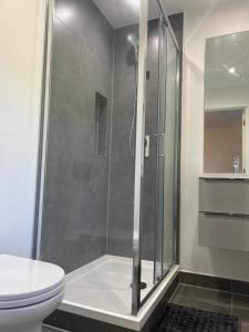 a bathroom with a shower and a toilet at Kinzo's Apartment in Chatham