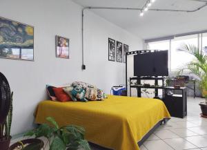 TV a/nebo společenská místnost v ubytování Flat Apartment in Downtown Xalapa Veracruz