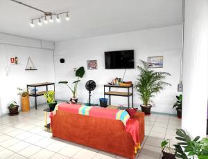 TV a/nebo společenská místnost v ubytování Flat Apartment in Downtown Xalapa Veracruz + 7 fotografií