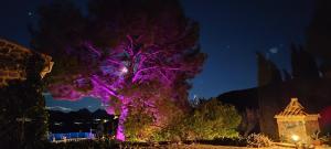 a purple tree in front of a building at night at Casa Pura Vida in Relleu