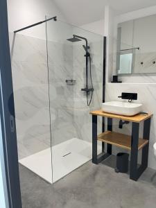 a bathroom with a shower and a sink at Gites L'atelier 1410 in Saint-Amand-les-Eaux +30 photos