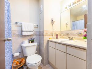 a bathroom with a toilet and a sink and a mirror at Golden Villas 306B studio in Isabela +51 photos