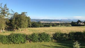 a field of grass with trees and mountains in the background at Rowantree in Kiltarlty