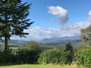 a green field with a tree and mountains in the background at Rowantree in Kiltarlty