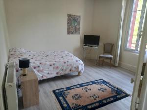 a bedroom with a bed and a television and two rugs at Au calme, 2 grandes chambres, 65m2 , devant le canal, animaux ok in Lere