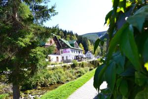 Vonkajšia záhrada v ubytovaní Hostel Fortuna