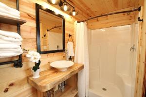ein Badezimmer mit Waschbecken und Spiegel in der Unterkunft Treetop #8 at East Zion Resort in Orderville