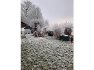Fotografie z fotogalerie ubytování Josephine Zöller House v destinaci Blomberg